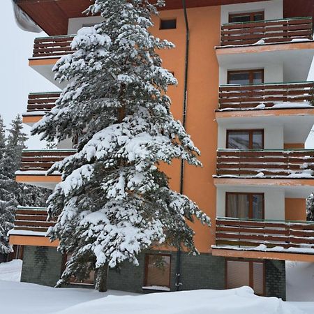 Apartmán Pálenica II Tátracsorba Kültér fotó