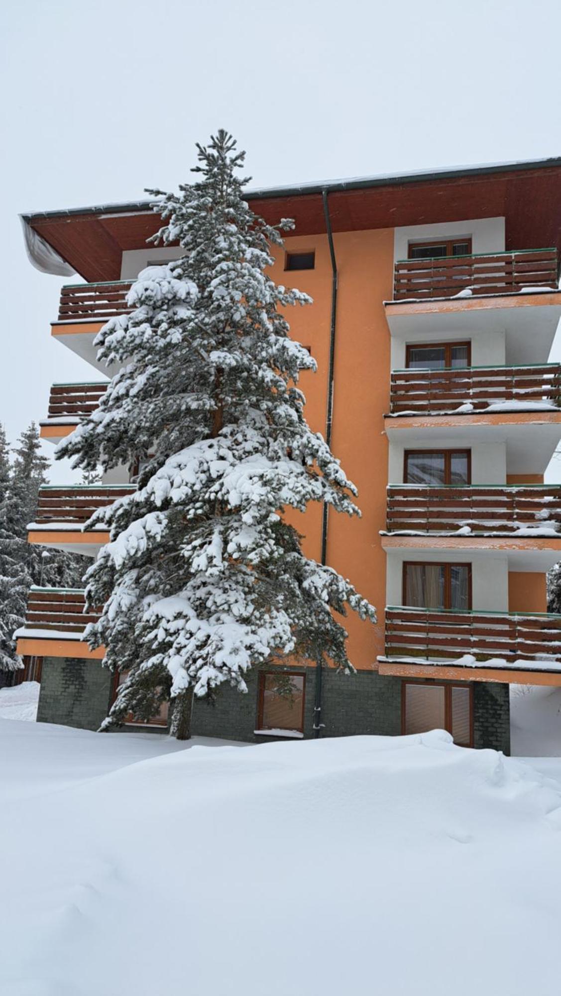 Apartmán Pálenica II Tátracsorba Kültér fotó